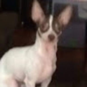 Meet your Posher, Maira